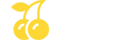 rocketplay-slot.com