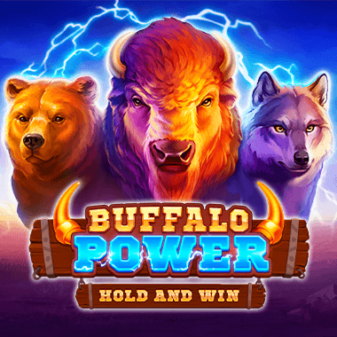 buffalo power 2 slot