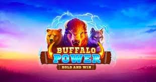Buffalo Power Hold And Win